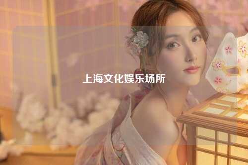 上海文化娱乐场所
