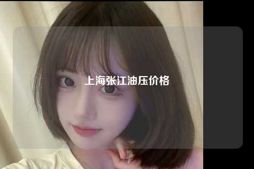 上海张江油压价格